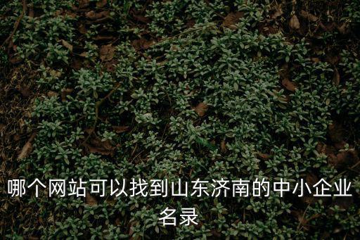 哪個(gè)網(wǎng)站可以找到山東濟(jì)南的中小企業(yè)名錄