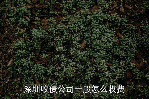 深圳收債公司一般怎么收費(fèi)