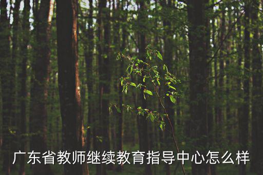 廣東省教師繼續(xù)教育指導(dǎo)中心怎么樣