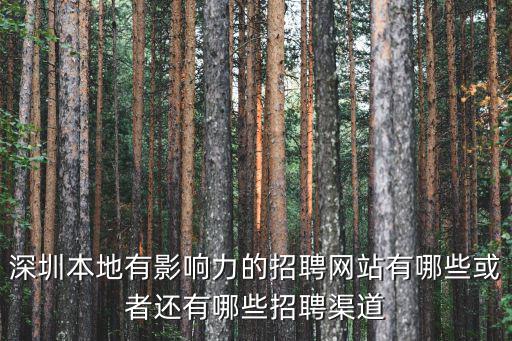 深圳人才招聘網，在深圳去找工作有哪些招聘網站啊