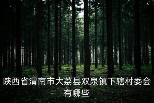 雙泉，咸陽道北還是好雙泉好