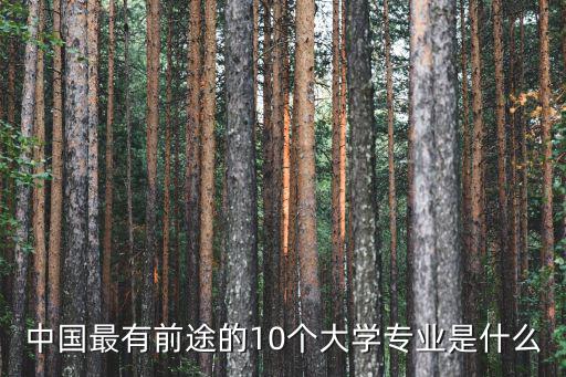 中國最有前途的10個大學專業是什么
