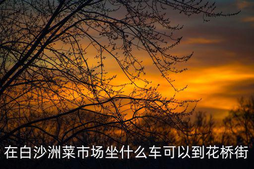 在白沙洲菜市場坐什么車可以到花橋街