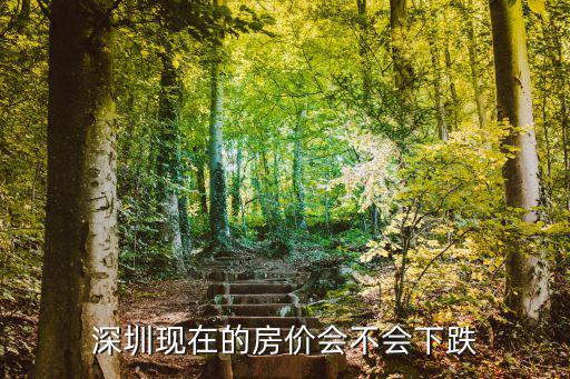 深圳房價最新消息，深圳現在的房價會不會下跌