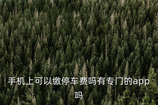 停車?yán)U費(fèi)，那個(gè)什么停車?yán)U費(fèi)APP真的好用么