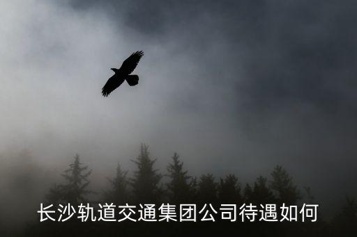 長沙軌道交通集團公司待遇如何