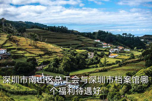 深圳市南山區總工會與深圳市檔案館哪個福利待遇好