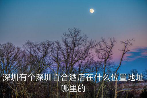 深圳百合酒店，有深圳龍崗區(qū)布吉百合酒店國際銀都23J這個地方嗎