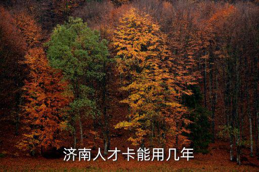 濟南人才卡能用幾年