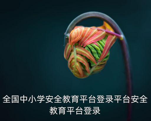 全國中小學(xué)生安全教育平臺(tái)，全國中小學(xué)安全教育平臺(tái)登錄平臺(tái)安全教育平臺(tái)登錄