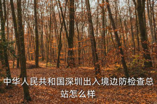 中華人民共和國深圳出入境邊防檢查總站怎么樣