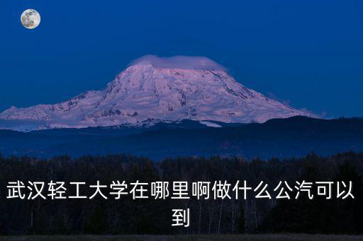 武漢輕工大學在哪里啊做什么公汽可以到