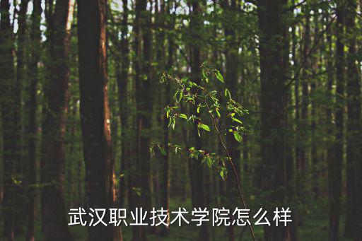 武漢職業技術學院怎么樣