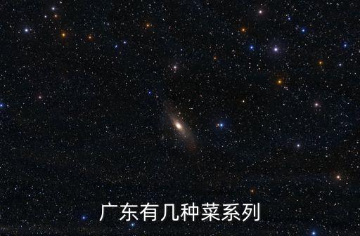 廣東有幾種菜系列