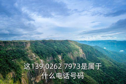 這139 0262 7973是屬于什么電話號碼