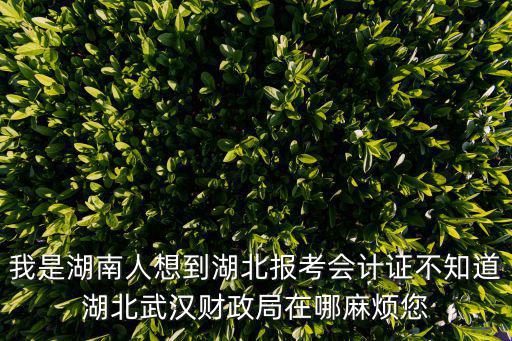我是湖南人想到湖北報考會計證不知道湖北武漢財政局在哪麻煩您