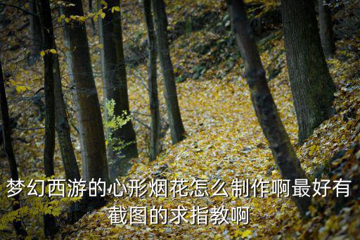 夢(mèng)幻西游的心形煙花怎么制作啊最好有截圖的求指教啊