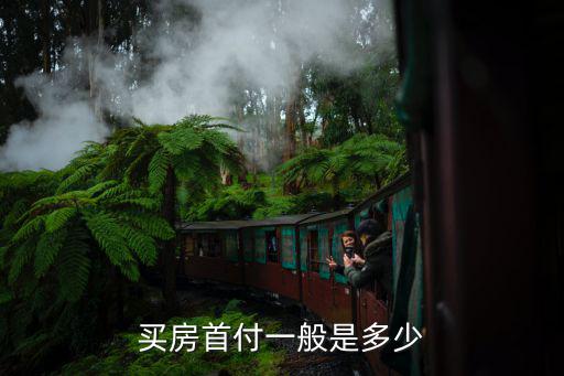買房首付一般是多少