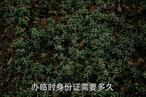 辦臨時身份證需要多久