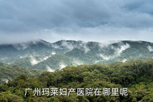 廣州瑪萊婦產醫院在哪里呢