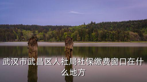 武漢市武昌區人社局社保繳費窗口在什么地方