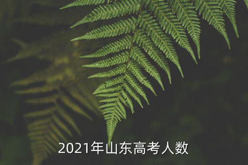 2021年山東高考人數