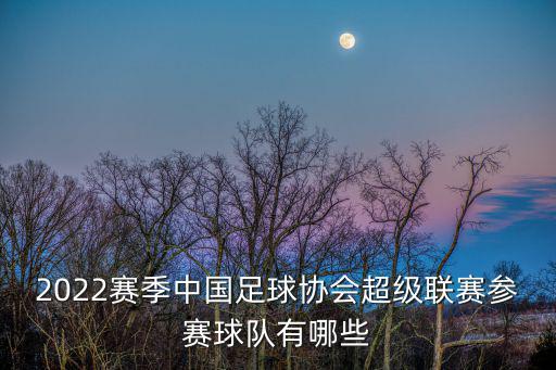 2022賽季中國足球協會超級聯賽參賽球隊有哪些