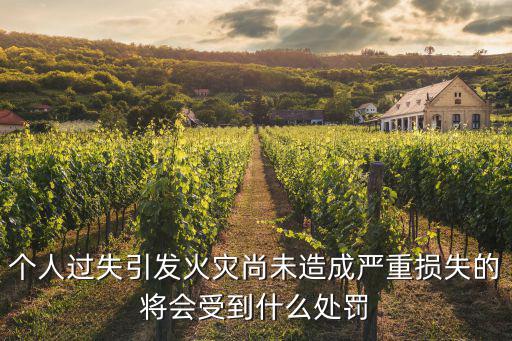 個(gè)人過失引發(fā)火災(zāi)尚未造成嚴(yán)重?fù)p失的將會(huì)受到什么處罰