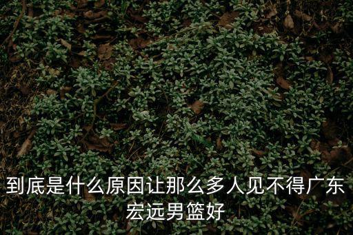 到底是什么原因讓那么多人見不得廣東宏遠男籃好
