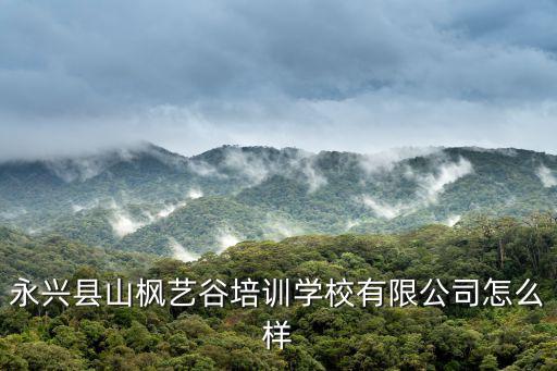 永興縣山楓藝谷培訓學校有限公司怎么樣
