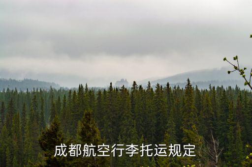 成都航空行李托運規(guī)定