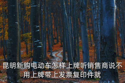 昆明新購電動(dòng)車怎樣上牌聽銷售商說不用上牌帶上發(fā)票復(fù)印件就