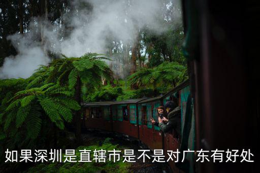 如果深圳是直轄市是不是對廣東有好處