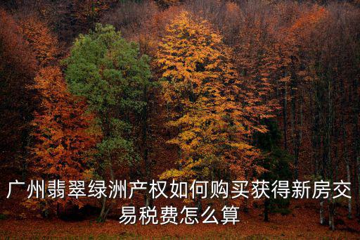 廣州翡翠綠洲產(chǎn)權(quán)如何購買獲得新房交易稅費怎么算