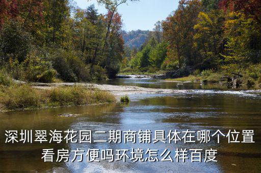 深圳翠?；▓@二期商鋪具體在哪個位置看房方便嗎環(huán)境怎么樣百度