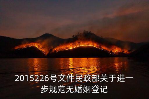 2015226號文件民政部關于進一步規范無婚姻登記