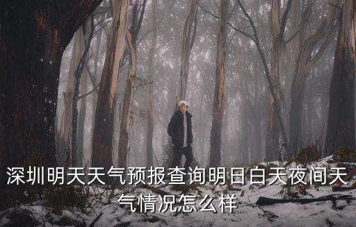 深圳天氣預報15天查詢，深圳明天天氣預報查詢明日白天夜間天氣情況怎么樣