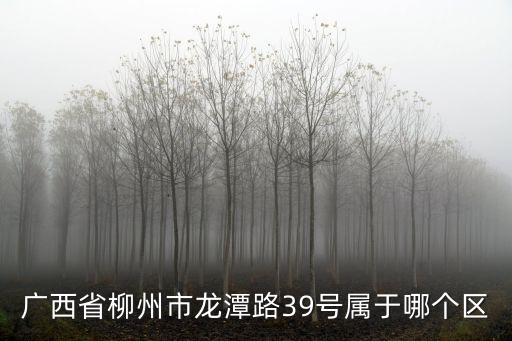 廣西省柳州市龍潭路39號屬于哪個區