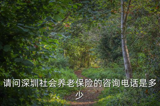 請問深圳社會養(yǎng)老保險的咨詢電話是多少