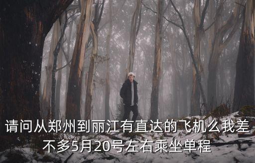 請(qǐng)問(wèn)從鄭州到麗江有直達(dá)的飛機(jī)么我差不多5月20號(hào)左右乘坐單程