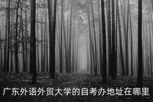 廣東外語外貿大學自考，廣外自考報名點在哪