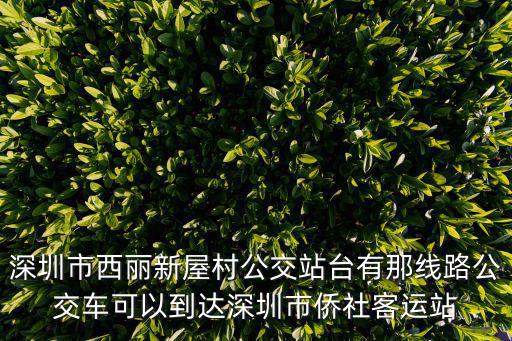 深圳僑社汽車站，深圳僑社汽車站具體位置