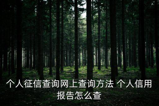 個人征信查詢網(wǎng)上查詢方法 個人信用報告怎么查
