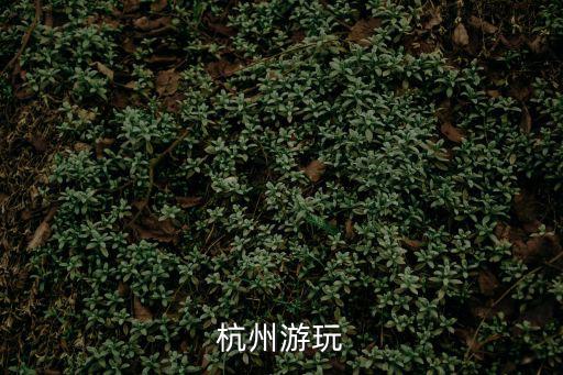 杭州旅游攻略，杭州游玩