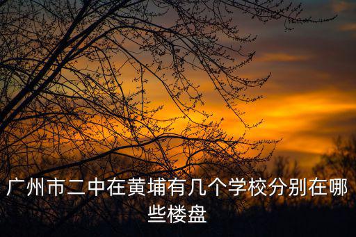 廣州市二中在黃埔有幾個學校分別在哪些樓盤