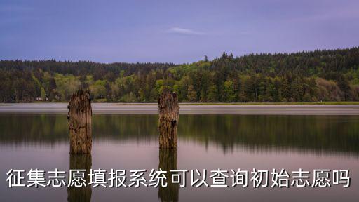 征集志愿填報系統可以查詢初始志愿嗎