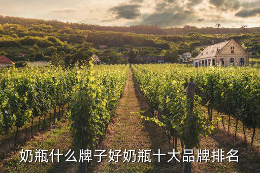 奶瓶什么牌子好，婆婆讓一定要買日本奶瓶日本奶瓶哪個牌子好