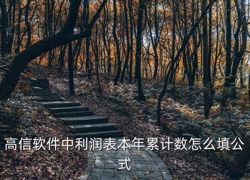 高信軟件中利潤表本年累計數怎么填公式