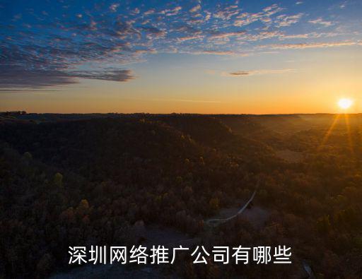 深圳網絡推廣公司有哪些
