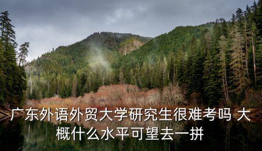 廣東外語外貿大學研究生很難考嗎 大概什么水平可望去一拼